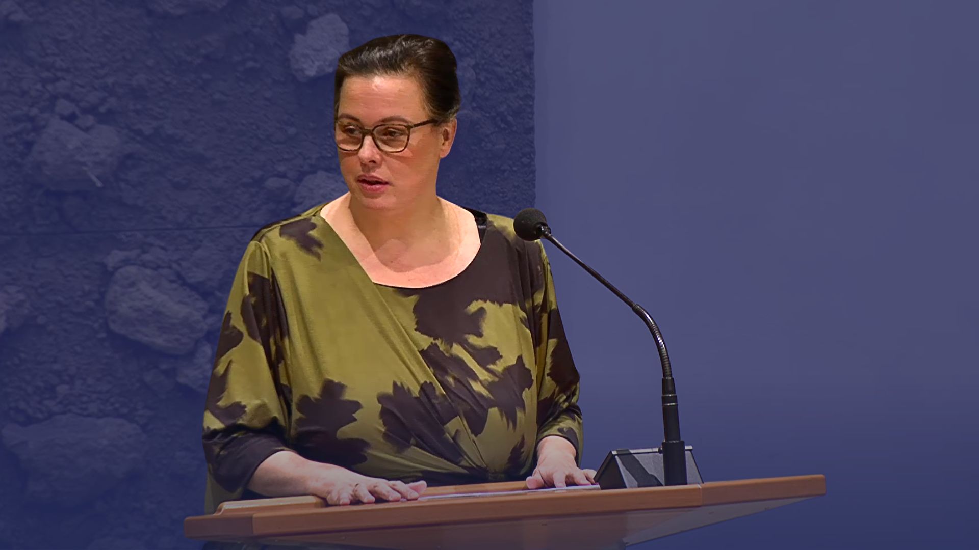 'Onze kant van de overkant' | Maidenspeech Annabel Nanninga